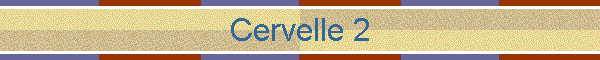 Cervelle 2