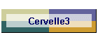 Cervelle3